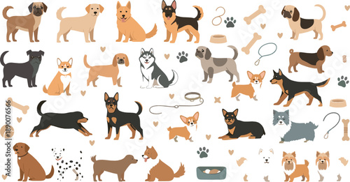 Cute dog vector set with multiple breeds, playful puppies, pet accessories, bones, leashes, bowls, and adorable canine characters