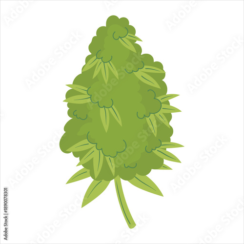 Cannabis bud illustration - green plant flower Vector
