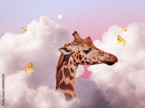 Giraffe head in clouds morning day
