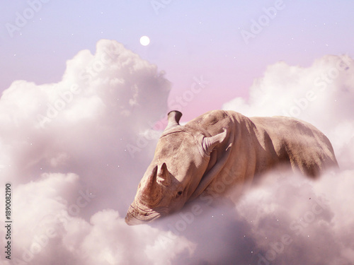 Rhinoceros lays in clouds morning day
