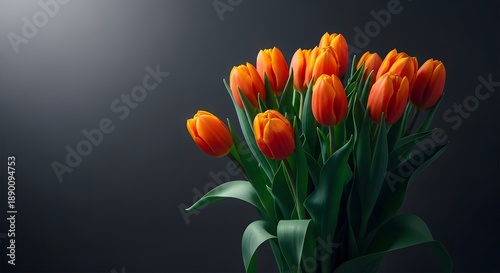 Vibrant orange tulips in a dark room with dramatic lighting
