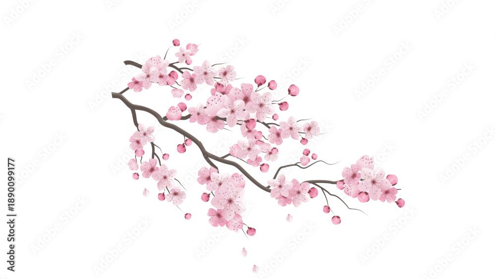Naklejka premium Long Cherry Blossom Tree Branch Vector