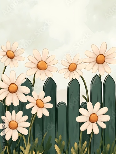 A daisy flower bed blooming in the morning light