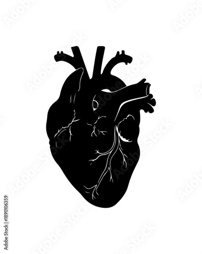 Silhouette Heart with Arteries