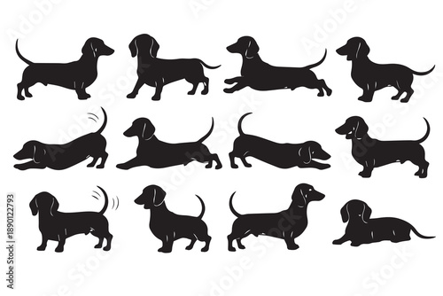 Dachshund Dog Silhouette Set – Weiner Dog Poses, Sausage Dog Vector Illustrations