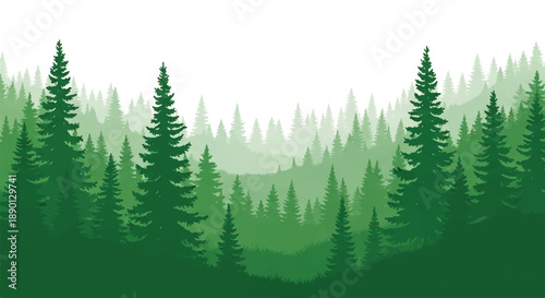 Dense forest landscape with tall trees and lush foliage viewed from a distance in a serene natural setting