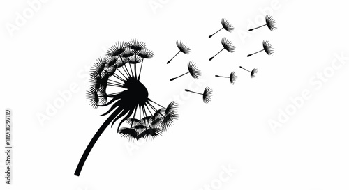 Dandelion Releasing Seeds in a Field with High-Resolution Image from an Upward Angle