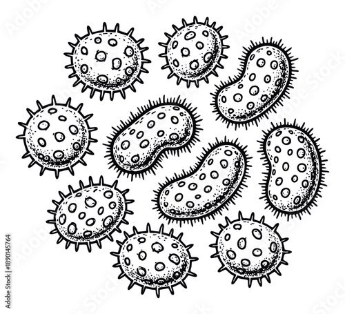 A collection of microscopic organisms, including various bacteria and viruses, depicted with a textured stippling effect, ideal for scientific education, health awareness campaigns, or