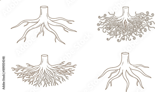 Tree root illustrations set with varied branching underground systems isolated hand drawn botanical nature vector design collection