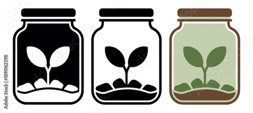 Seedling plant grows inside three different styles of glass mason jars for terrarium concepts.