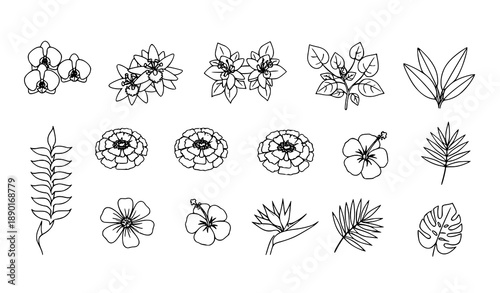 Latin American Flower Thin Line Icons Set with Tropical and Cultural Botanical Symbols Editable Stroke Vector