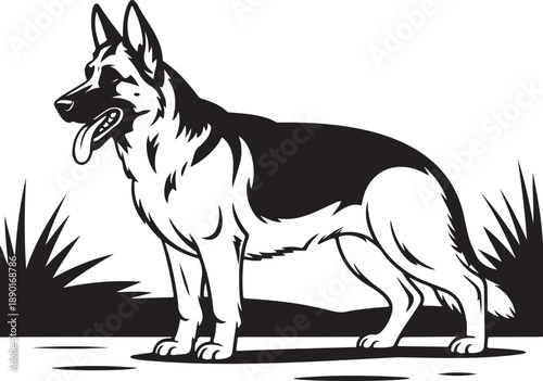 Black and white german shepherd dog standing in grass 1