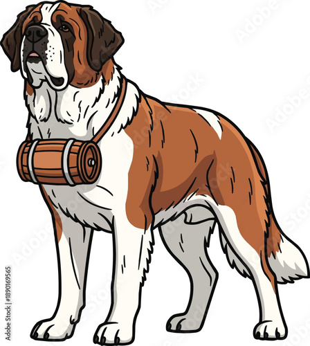 Saint Bernard dog standing alert mountain rescue stance