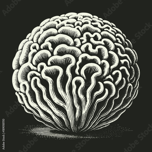 Intricate Brain Illustration: A Visual Exploration of Cognitive Complexity.