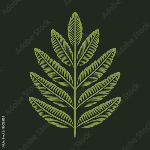 Detailed Green Leaf Illustration on Dark Background Botanical Art.