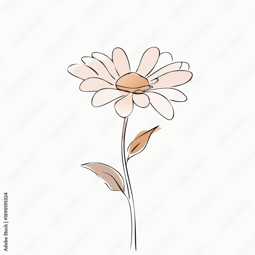 custom made wallpaper toronto digitalChamomile Flower Minimal Botanical Illustration – Simple Hand Drawn Herbal Art