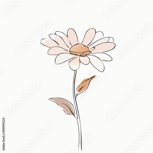 Wallpaper Mural Chamomile Flower Minimal Botanical Illustration – Simple Hand Drawn Herbal Art Torontodigital.ca