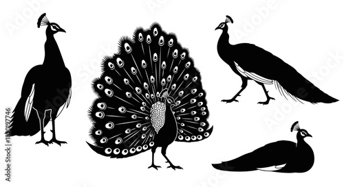 Collection of black peacock silhouettes in various poses.