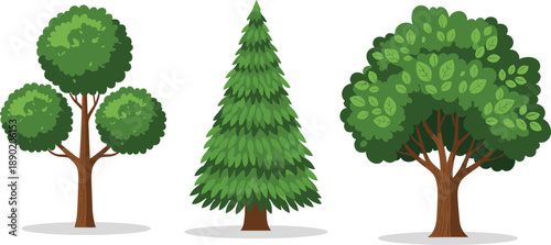 Cartoon tree set with varied foliage styles, coniferous and broadleaf types for kids, vector nature illustration for education and environment themes