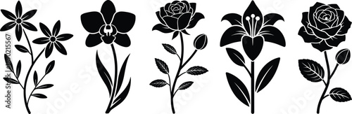 Floral Silhouette Icons Set Featuring Rose Lily Orchid and Wildflower Botanical Elements for Wedding Decoration Nature Design and Craft Projects