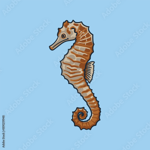Sea horse Animal Illustration on Blue Background