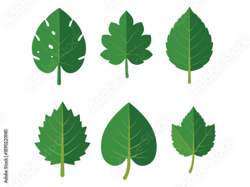Green Leaves Vector Set in Flat Minimalist Style