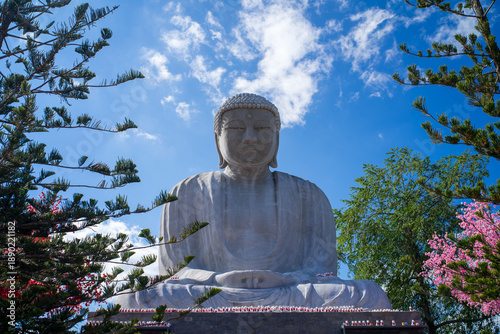 Tableau sur toile Large Replica of Great Buddha Statue (Daibutsu) Framed by Pine and Sakura Trees