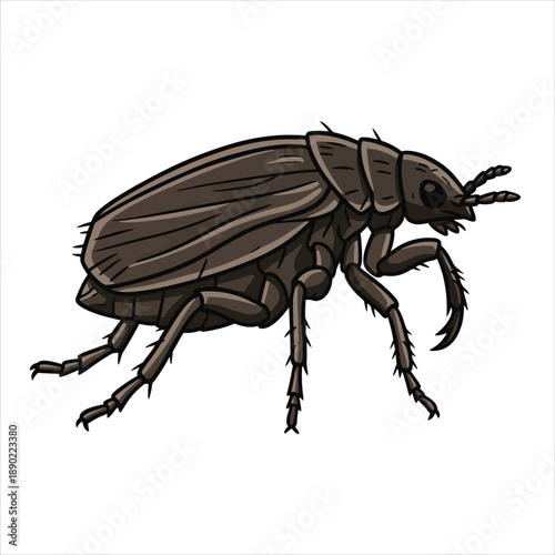 Illustration vector of a flea insects