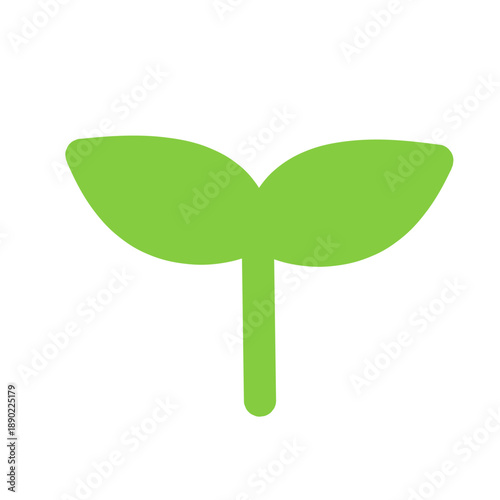 双葉 葉 芽のイラスト