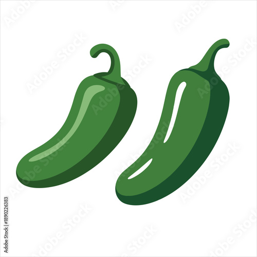 vector illustration of a green jalapeno