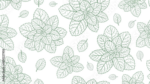 Detailed line art pattern of mint leaves and herb sprigs in shades of green on a white background for a fresh culinary aesthetic.