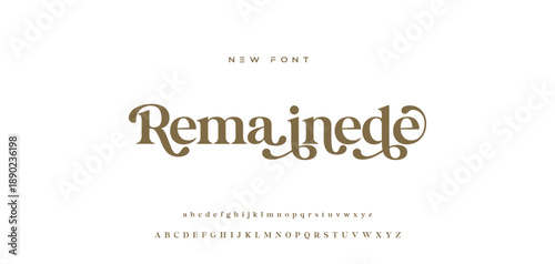 Lettering Minimalist Fashion. Elegant alphabet letters serif font and number. Typography fonts regular uppercase, lowercase.