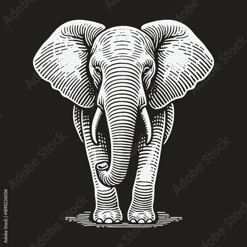 Detailed Engraving of an African Elephant with Striking Line Work.
