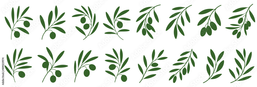 Obraz premium Olive Branch Drawing Vector Illustration, Olive Tree Branches Set, Eco Healthy Organic Products or Olive leaf branch.