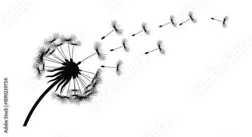 A delicate dandelion releasing its seeds into the wind captured as a striking black silhouette high quality professional detailed modern elegant