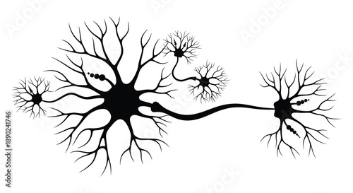 A detailed illustration of interconnected neurons showcasing the complex structure of the nervous system presented as a silhouette high quality professional