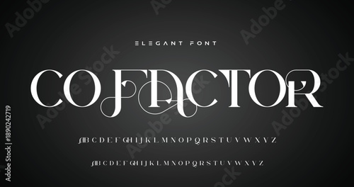 Lettering Minimalist Fashion. Elegant alphabet letters serif font and number. Typography fonts regular uppercase, lowercase.