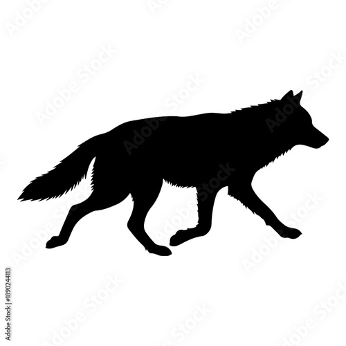 Silhouette of a wolf running in motion on a white background Vector