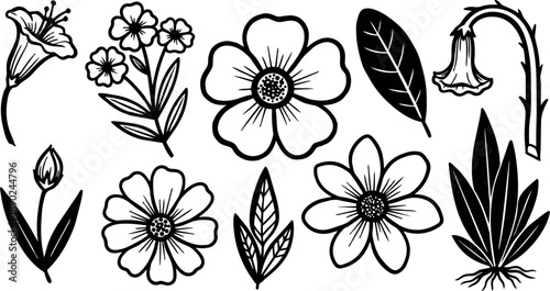 Black and white line art floral elements set with various flowers leaves and stems isolated on white background vector style botanical design collection