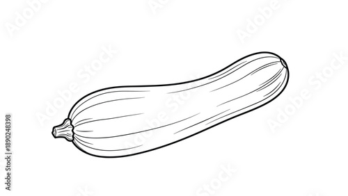 Black and white line art of a whole zucchini, also known as a courgette, a versatile and healthy summer squash vegetable.