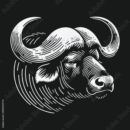 Detailed Engraving of a Cape Buffalo Head on Black Background.