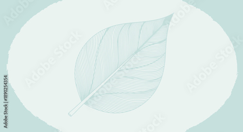mint leaf illustration on white background