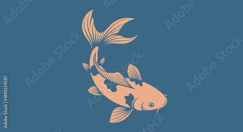 orange koi fish on blue background
