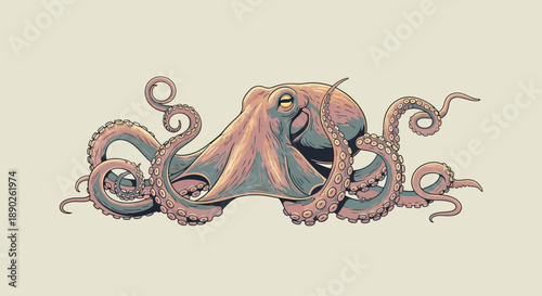 Detailed illustration of a resting octopus with curled tentacles on a light background.