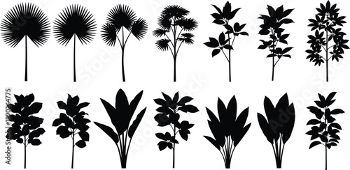 Tropical plant silhouette collection featuring palm trees and leafy botanical shapes, black vector foliage set for landscape, jungle and nature design isolated on white background