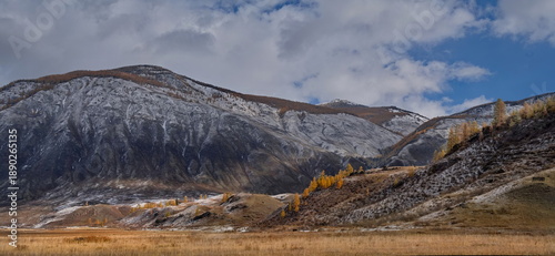 Russia. The South of Western Siberia, the Altai Mountains. A fascinating view of the mountains with yellow larches, dusted with the first autumn snow, along the Chuya highway in the valley of the Chuy