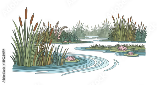 Vector illustration of a serene wetland ecosystem with a winding river, cattails, and pink flowers, highlighting conservation and nature.