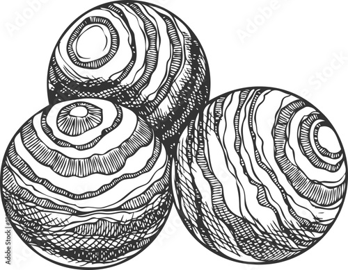 Sandalwood tree products vector sketch, hand drawn engraved fragrant wooden balls, organic herb perfumery cosmetics