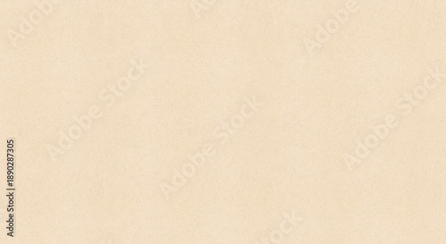 Light cream paper texture background with natural fiber grain fine art cardboard surface for minimalist stationery branding and luxury backdrop