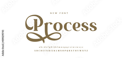 Elegance Luxury wedding alphabet font. Typography elegant classic lettering serif fonts decorative vintage retro for logo. vector illustration
